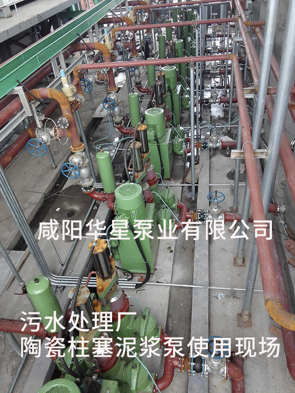 山東淄博光大水務(wù)-市政污水處理-水印4